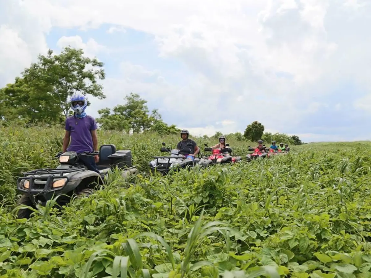 ATV riders in the jungle