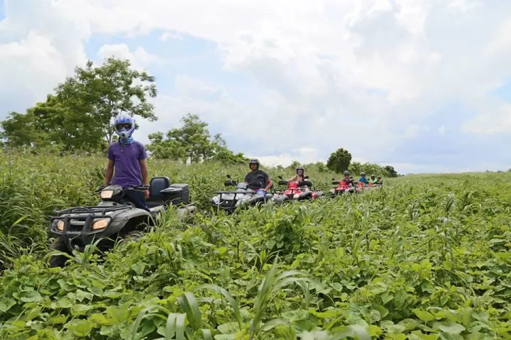 ATV riders in the jungle