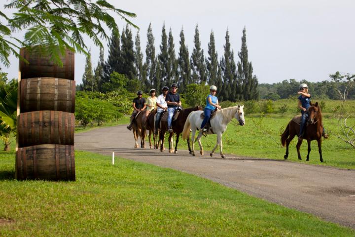 group exploring on horseback