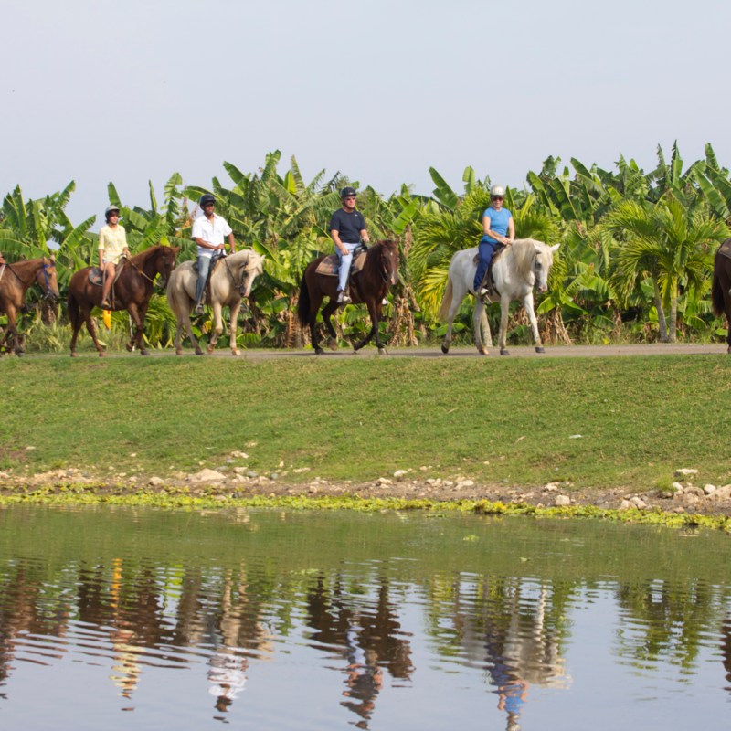 people in a line on horseback