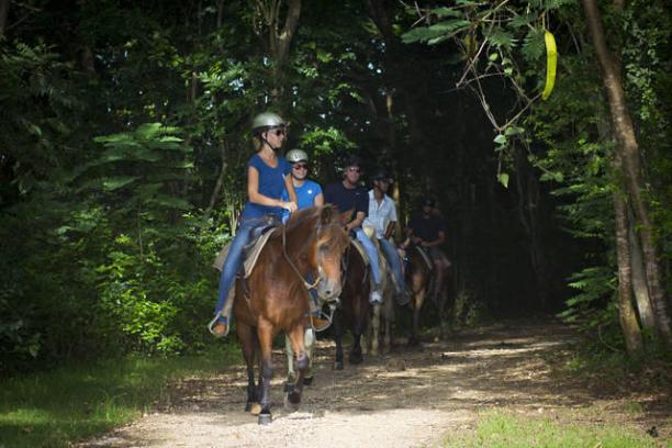 group of tourists on horses in the jungle