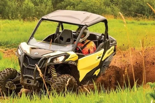 a car parked in a grassy field